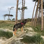 Ostsee Nyaraló Pruchten