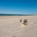 Ostsee