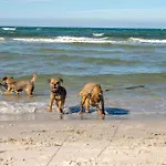 Ostsee Nyaraló