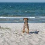 Ostsee Nyaraló Pruchten