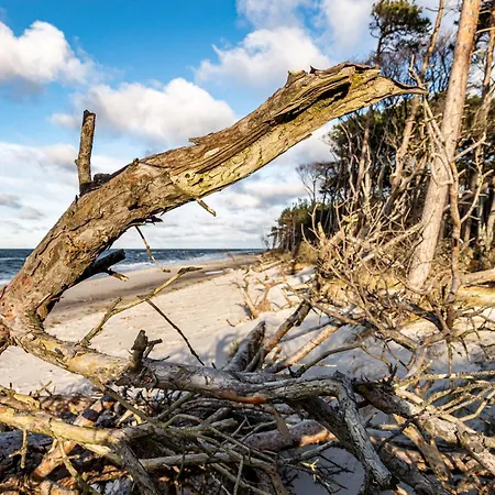 Ostsee Pruchten