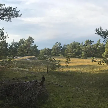 Ostsee 度假居