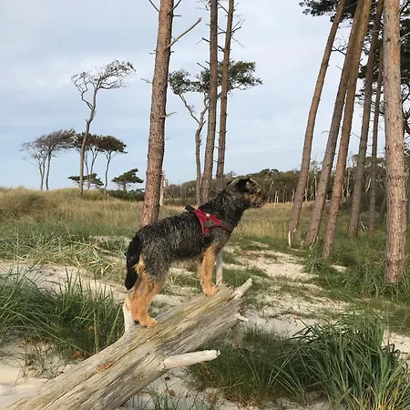 Ostsee 度假居 Pruchten