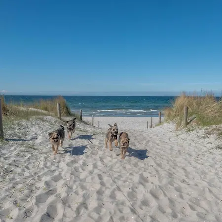 Ostsee * Pruchten