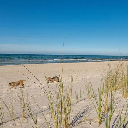 度假居 Ostsee *