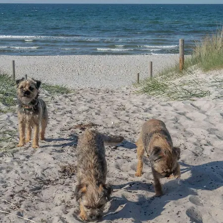 度假居 Ostsee Pruchten