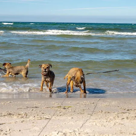 Ostsee 度假居
