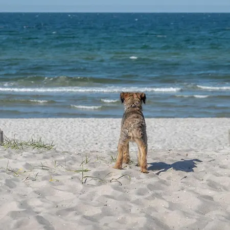 Ostsee 度假居 Pruchten