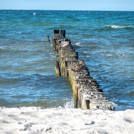 度假居 Ostsee Pruchten