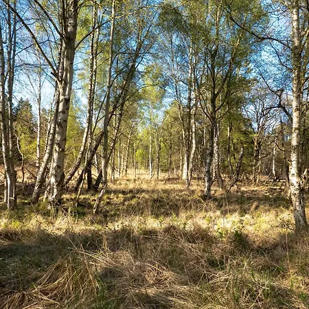 Ostsee * Pruchten