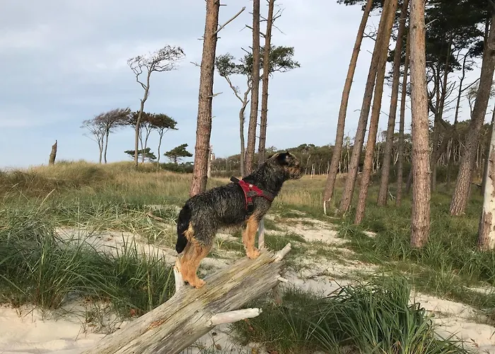 Ostsee 度假居 Pruchten