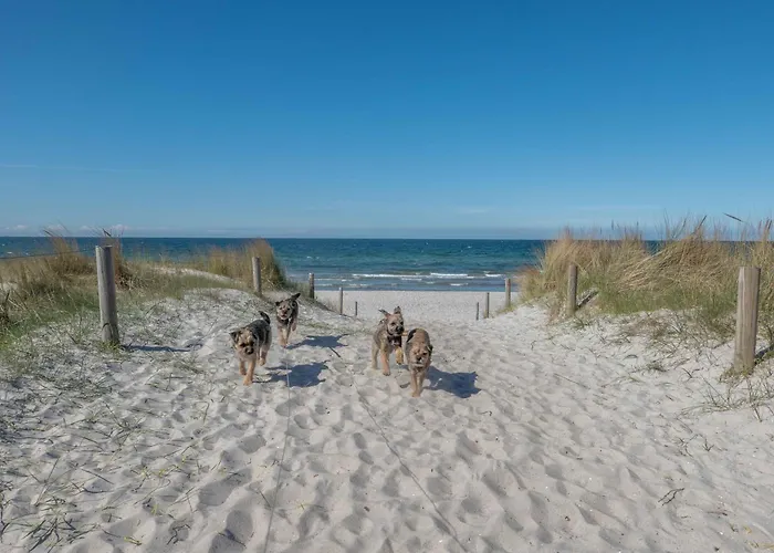 Ostsee * Pruchten