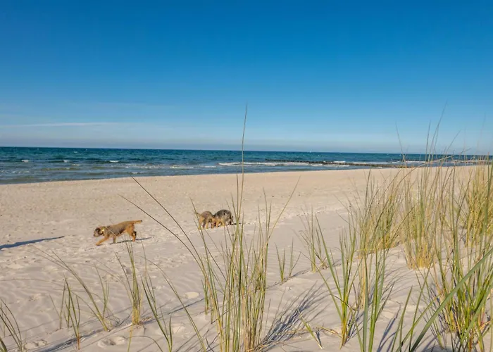 度假居 Ostsee *