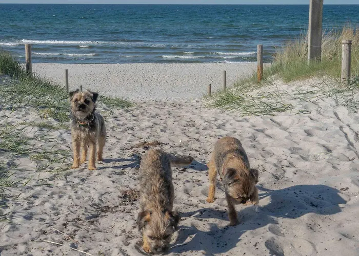 度假居 Ostsee Pruchten