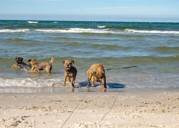Ostsee 度假居