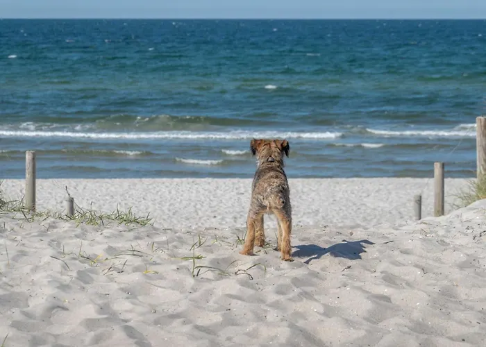 Ostsee 度假居 Pruchten