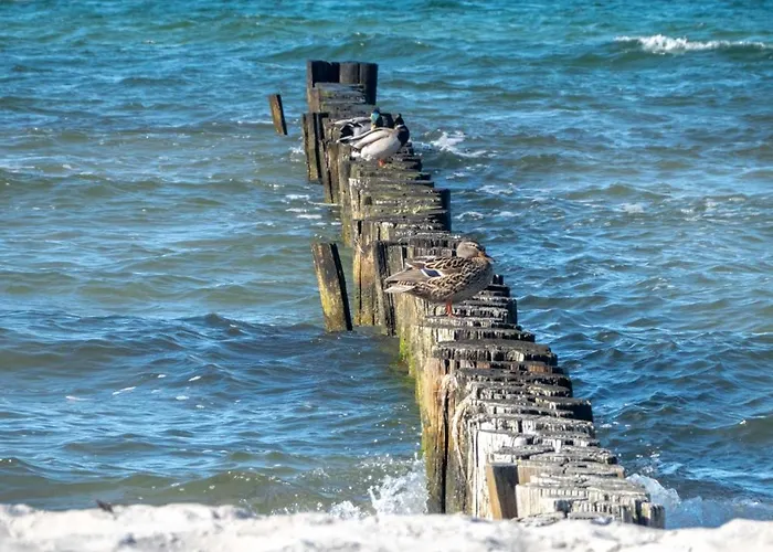 度假居 Ostsee Pruchten